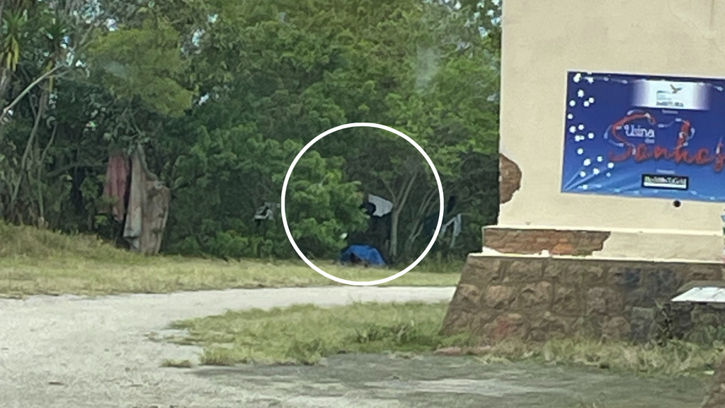 Imagem principal artigo