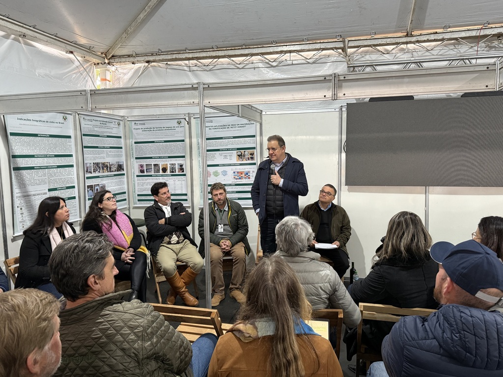 Estado discute investimentos para a vitivinicultura da Campanha