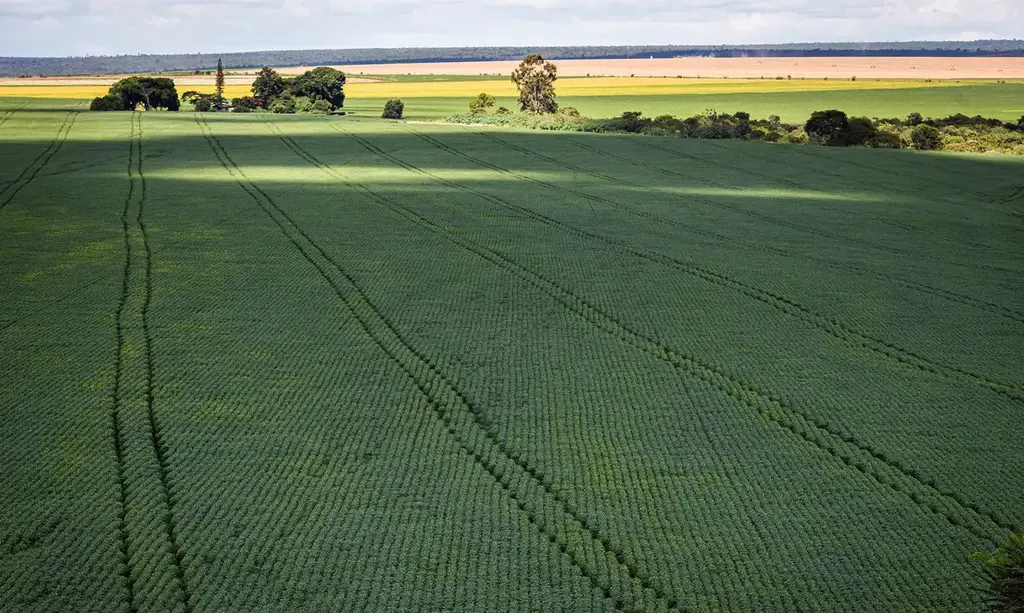 COP30: agro quer se posicionar como parte da solução, diz associação
