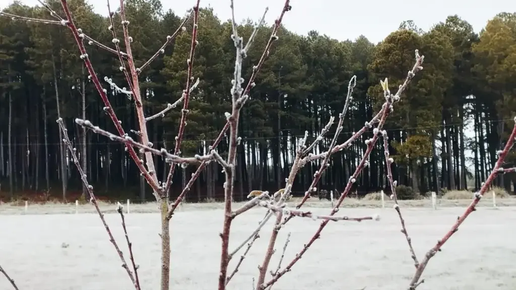 Semana terá entrada de nova massa de ar frio