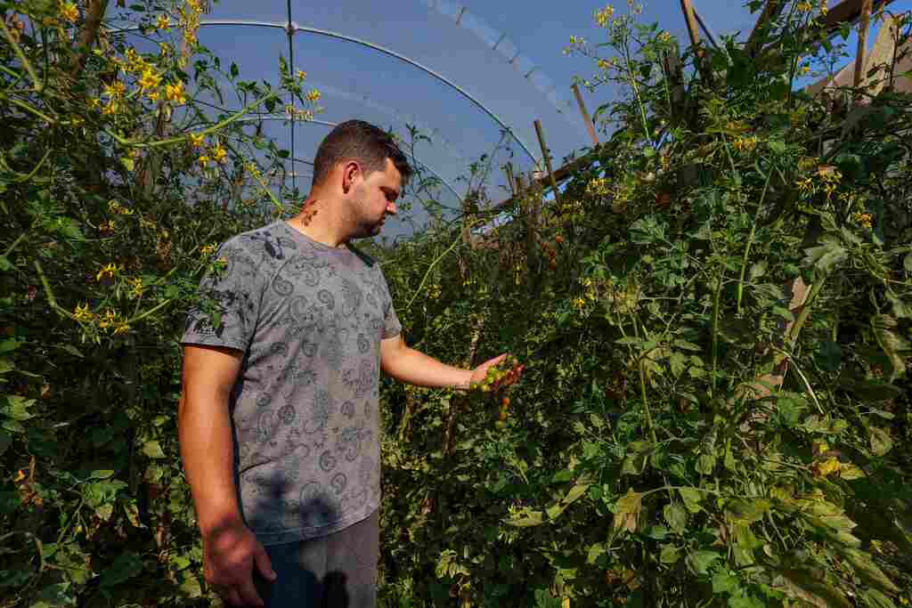 Fundo de Desenvolvimento Rural destina mais de R$ 51 milhões em julho para apoio direto ao produtor