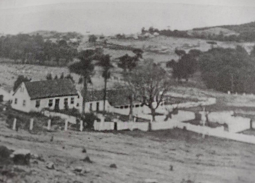 Histórias da Terra XIV