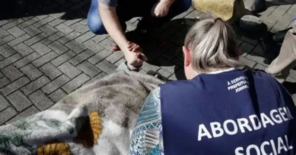 Catarinenses são maioria entre os abordados em situação de rua em Joinville