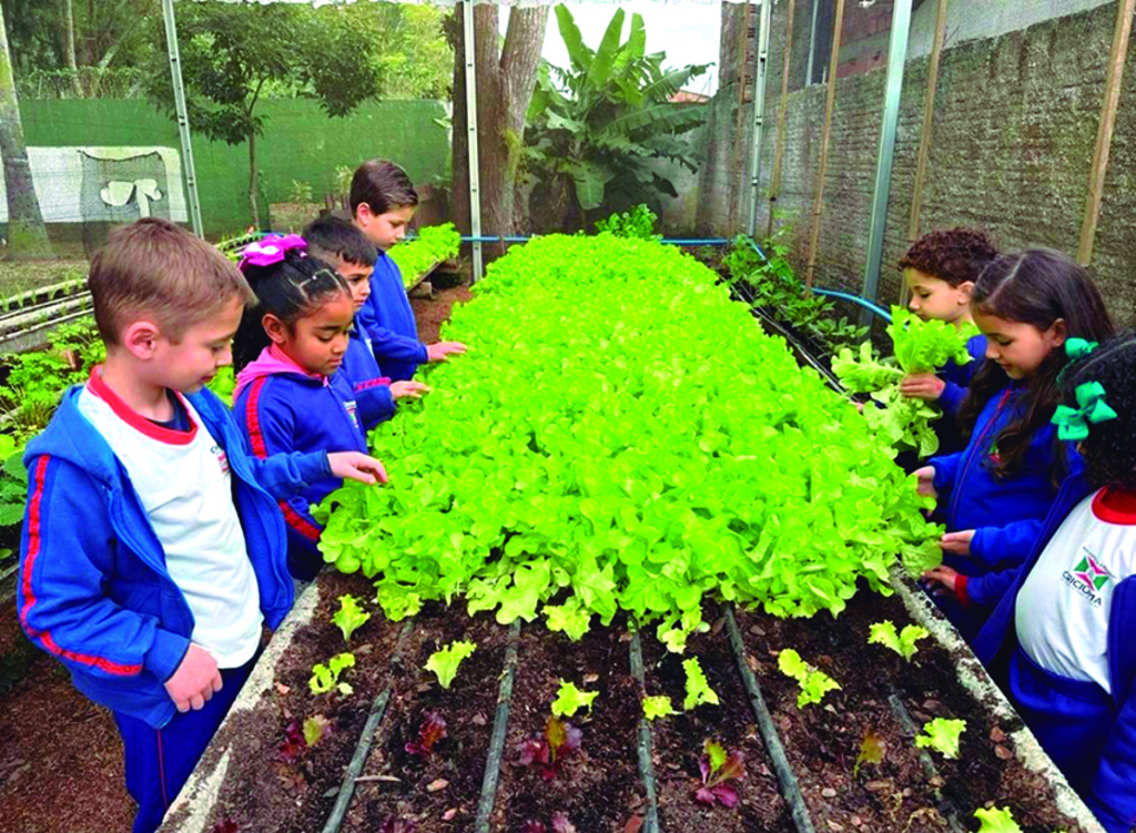 Crianças do Ceim Santina Dagostin Salvador aprendem sobre origem, plantando e colhendo os alimentos