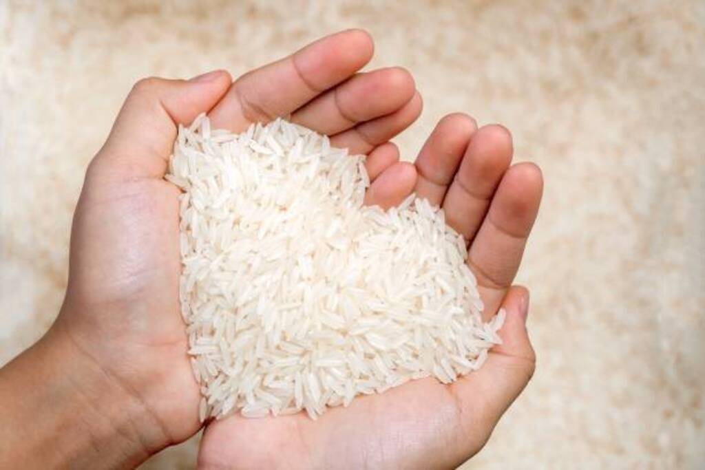 Conab vai comprar mais de 110 mil toneladas de arroz