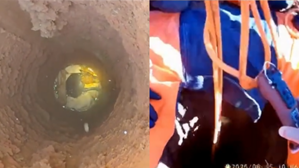 Imagem divulgação CBMSC - Cachorra de 18 anos é resgatada de poço pelos bombeiros