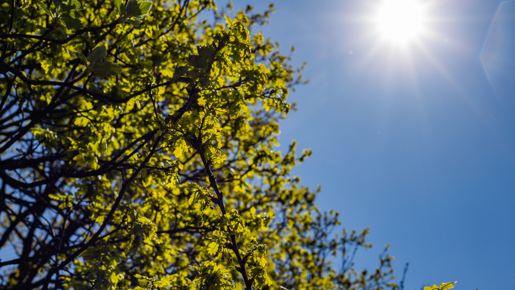 Semana começa com tempo estável e tardes amenizadas
