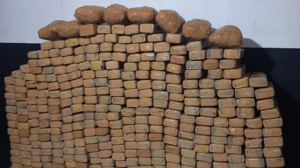 Operação da PM apreende mais de 270 quilos de drogas em Itajaí