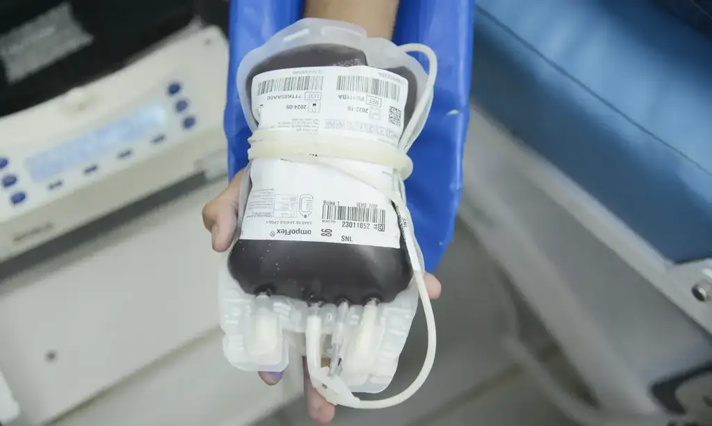STF confirma direito de recusar transfusão de sangue por religião