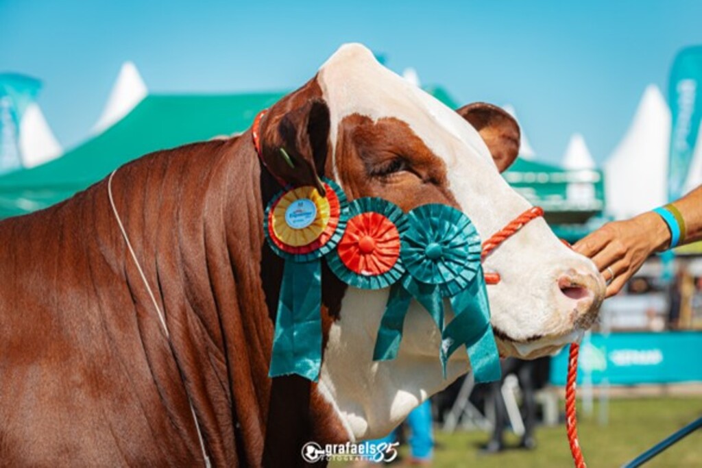 Criadores terão duas grandes ferramentas de vendas na Expointer