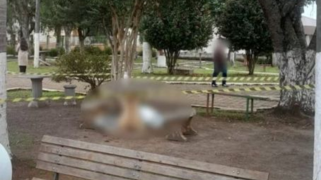Imagem divulgação hc Notícias - Adolescente mata homem em situação de rua a facadas em SC