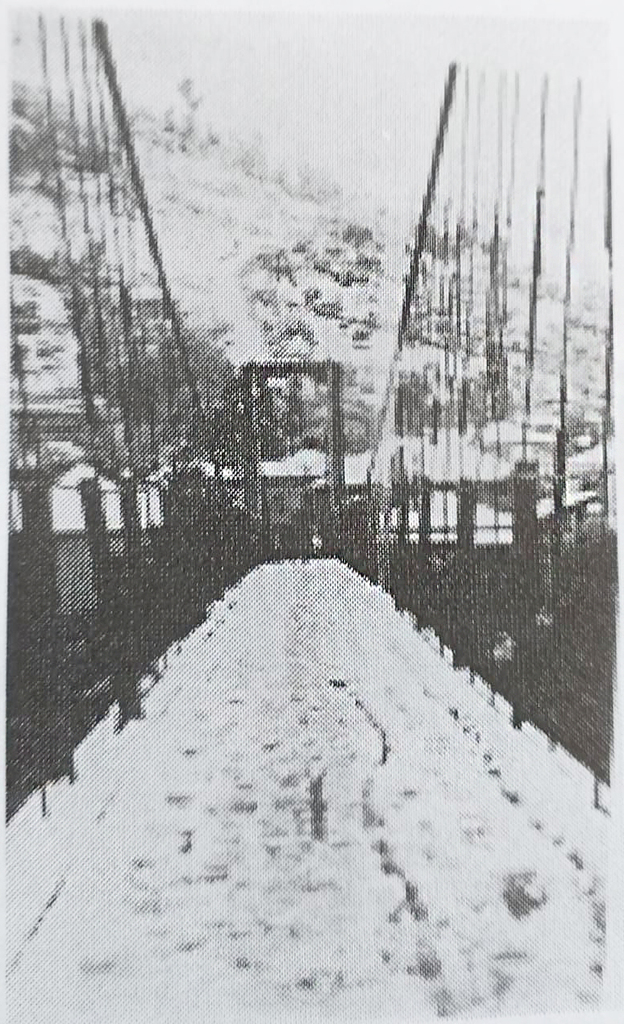 Histórias da Terra XV