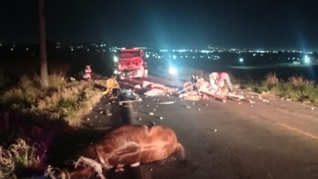 Foto CBMSC - Acidente grave entre caminhão e carroça deixa dois homens feridos em SC