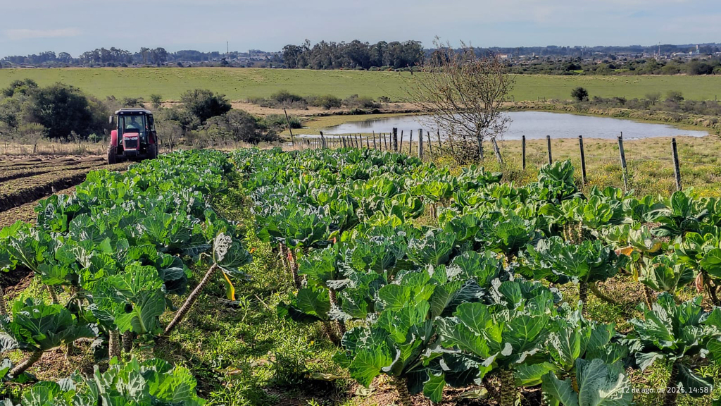 Programa beneficia agricultores familiares e fomenta produção saudável
