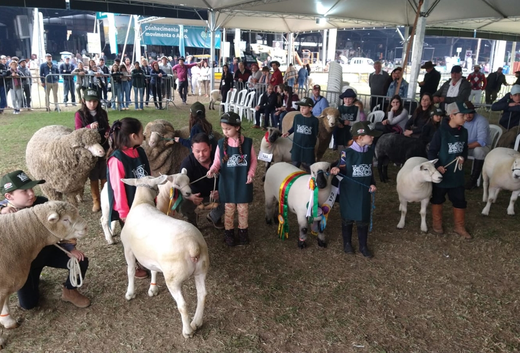 Ovinocultura terá foco em jovens e promoção da carne