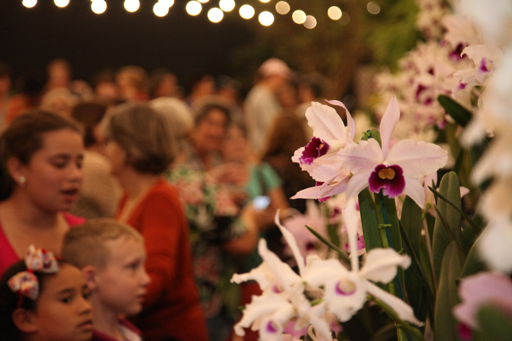 Ingressos da 85ª Festa das Flores já estão à venda com preços promocionais