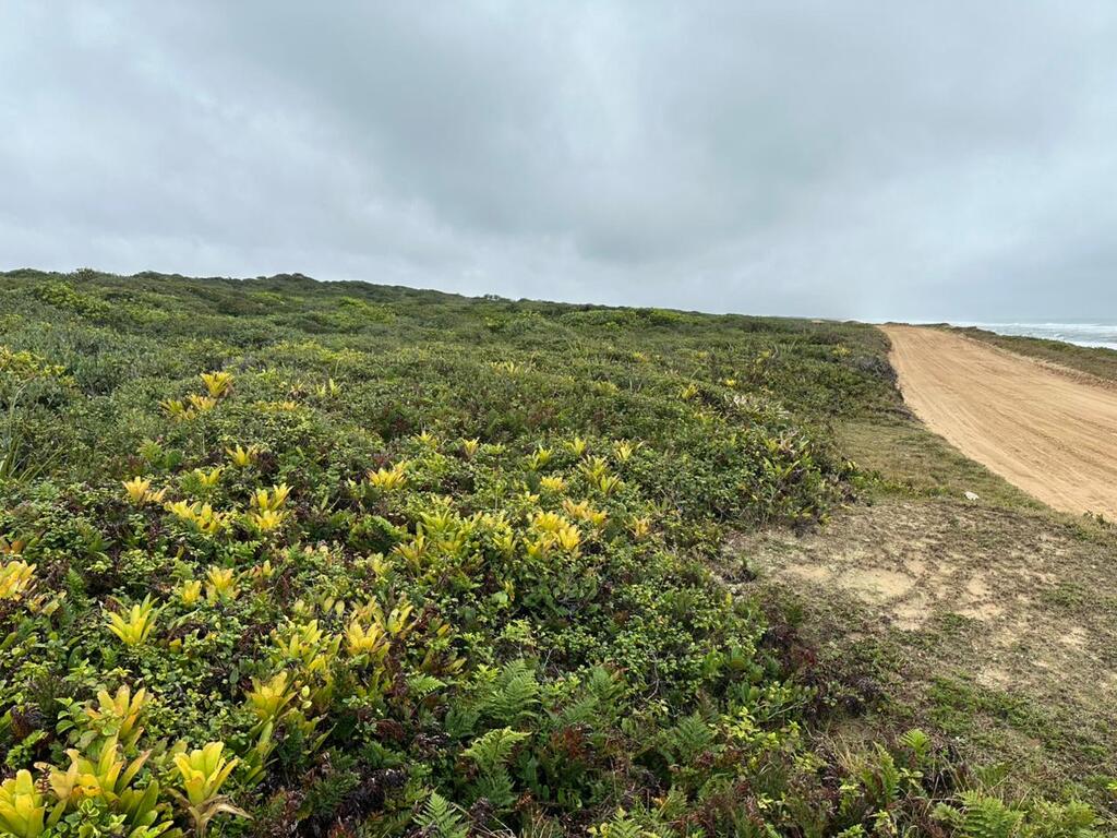 IMA amplia área regularizada do Parque Estadual Acaraí com nova doação e desapropriação