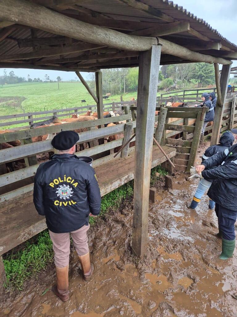 Decrabs ampliam atuação e reduzem crimes rurais