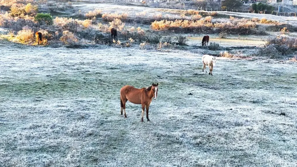 Frio intenso marca início da semana