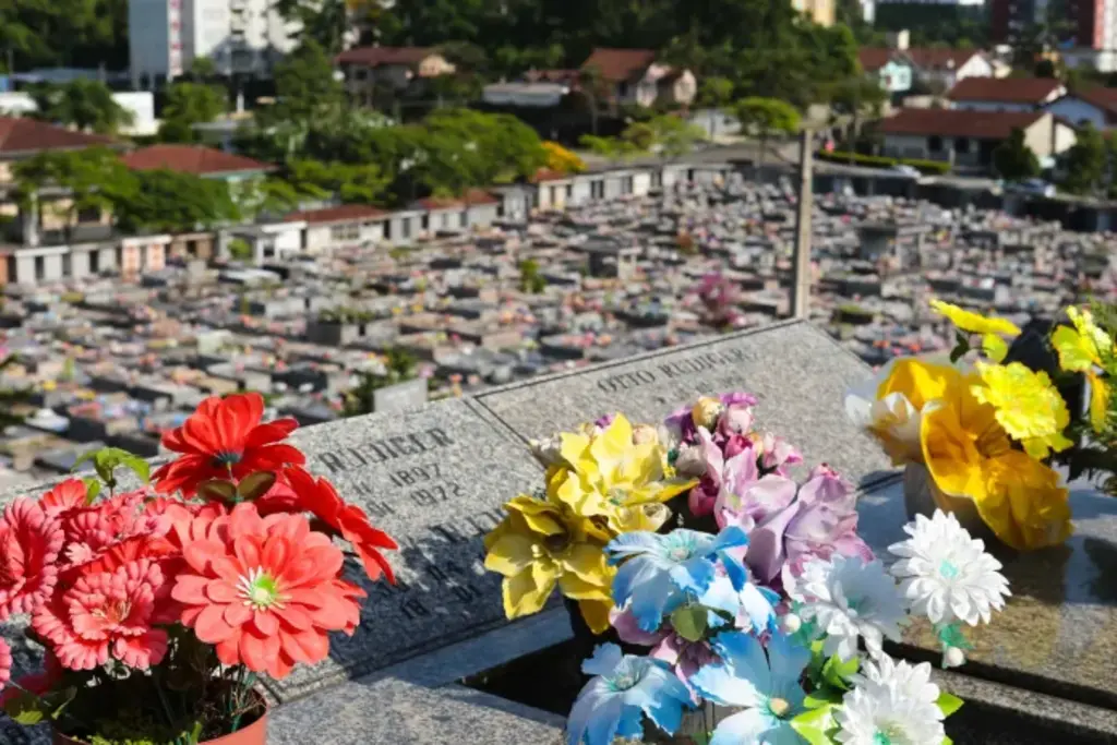 Projeto prevê multa para quem deixar restos de rituais em áreas públicas de Joinville