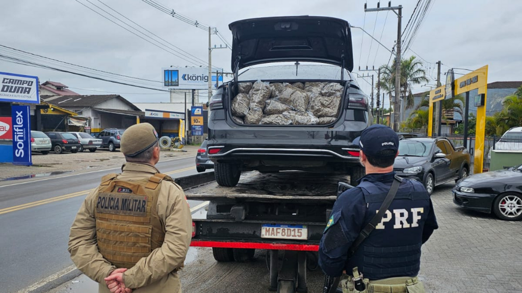 Foto divulgação PMSC - Polícia apreende 47 kg de skunk em ação entre Imbituba e Garopaba
