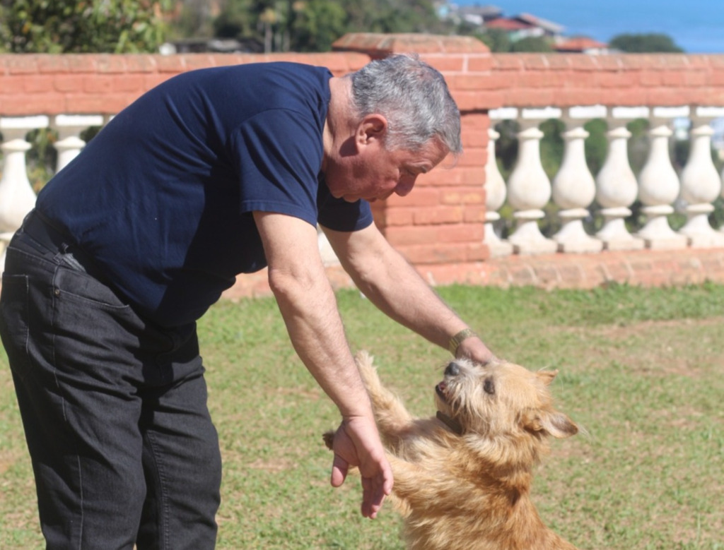 Alesc aprova Dia da Conscientização sobre a Castração Animal