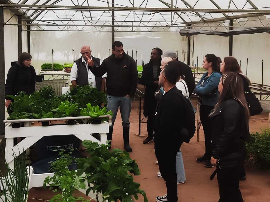 Visita à Epagri fortalece projetos de hortas escolares em São Francisco do Sul