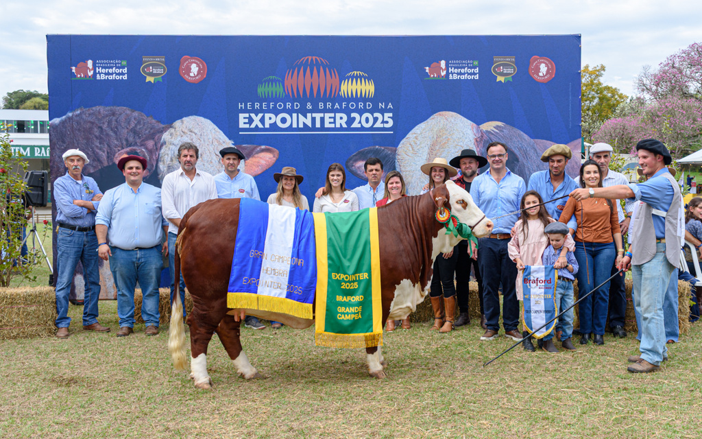 Cabanha de Livramento conquista grandes campeonatos Braford
