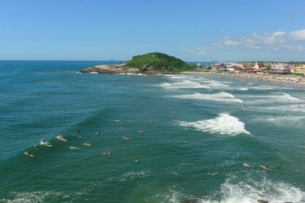 Educação, engajamento e parcerias pela conservação dos mares