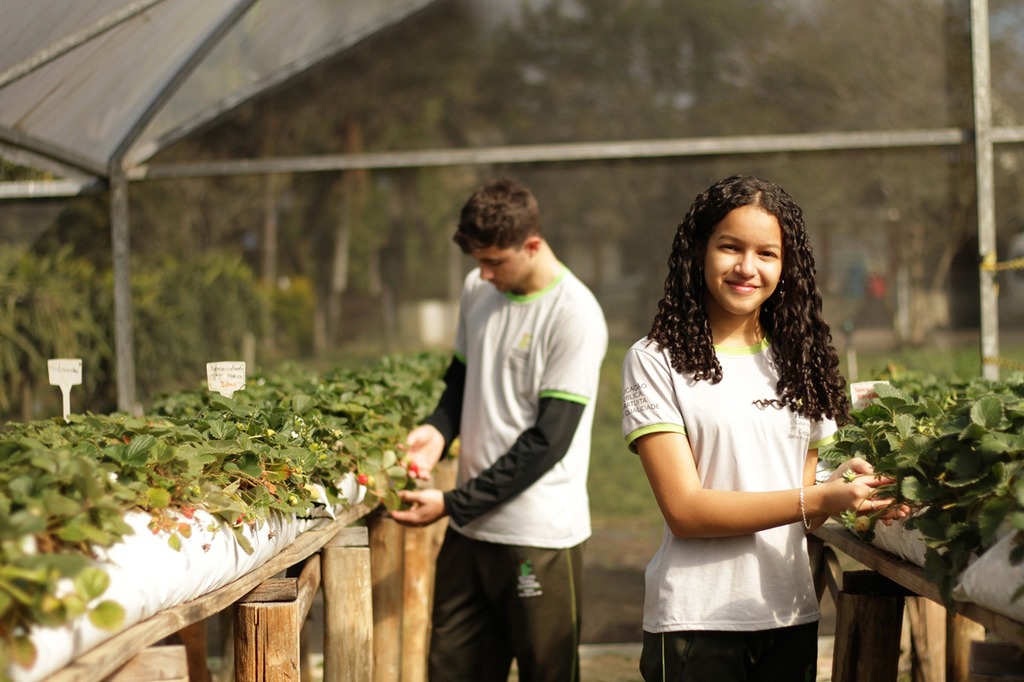 IFC SANTA ROSA DO SUL OFERTA 185 VAGAS PARA CURSO TÉCNICO EM AGROPECUÁRIA INTEGRADO AO ENSINO MÉDIO