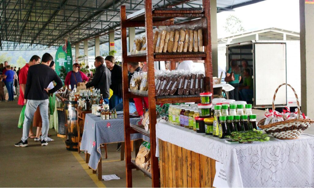 Feira Direto do Campo celebra a primavera em Joinville