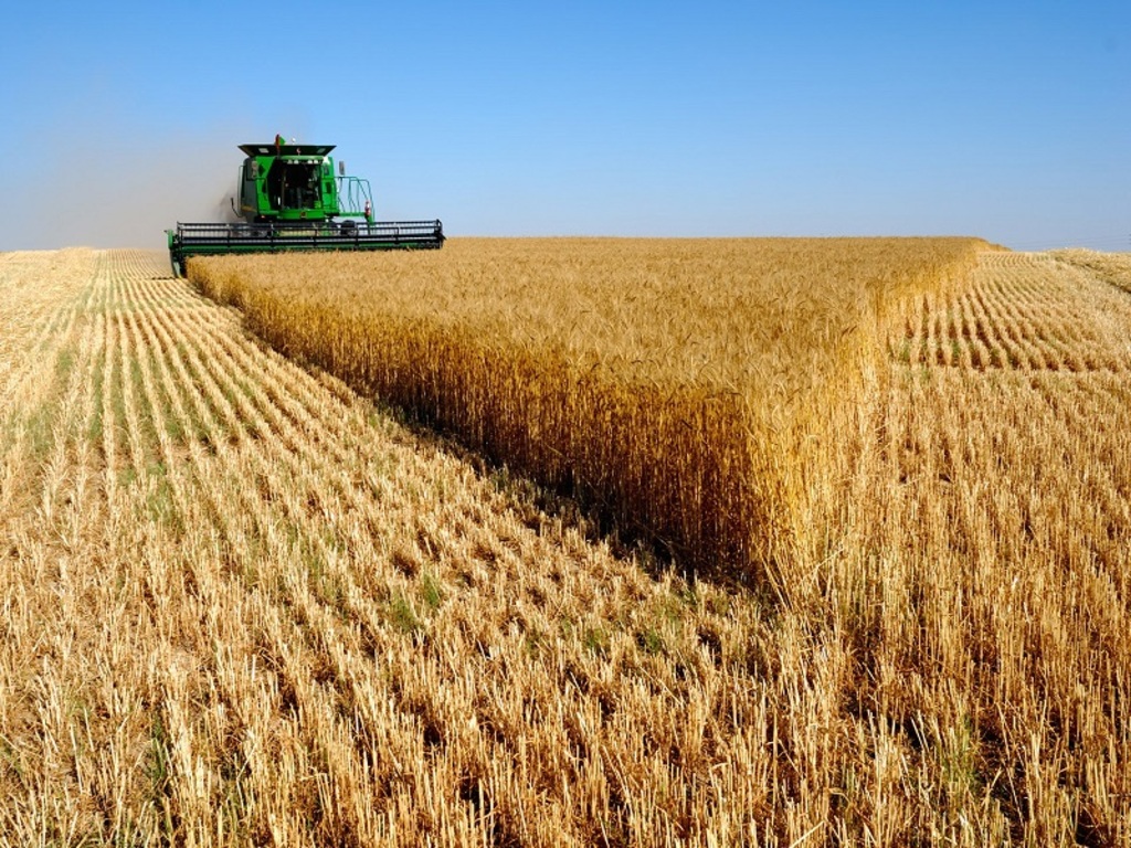 Conab prevê queda na cultura de soja e crescimento do arroz