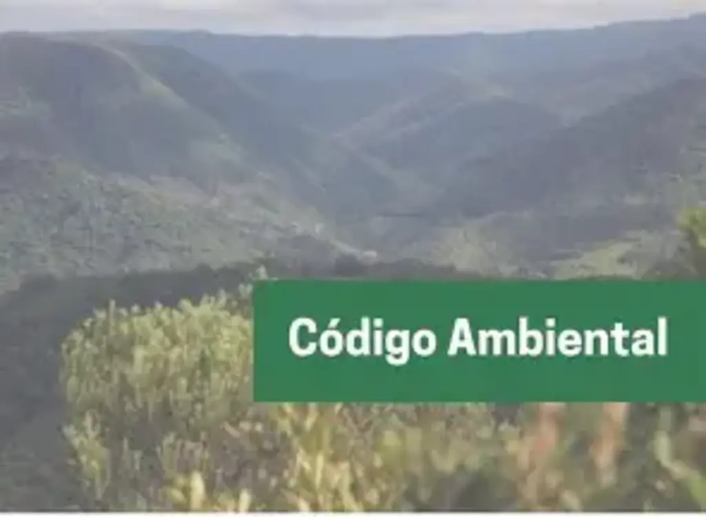 Artigo do Código Ambiental catarinense questionado pelo MPSC é declarado inconstitucional