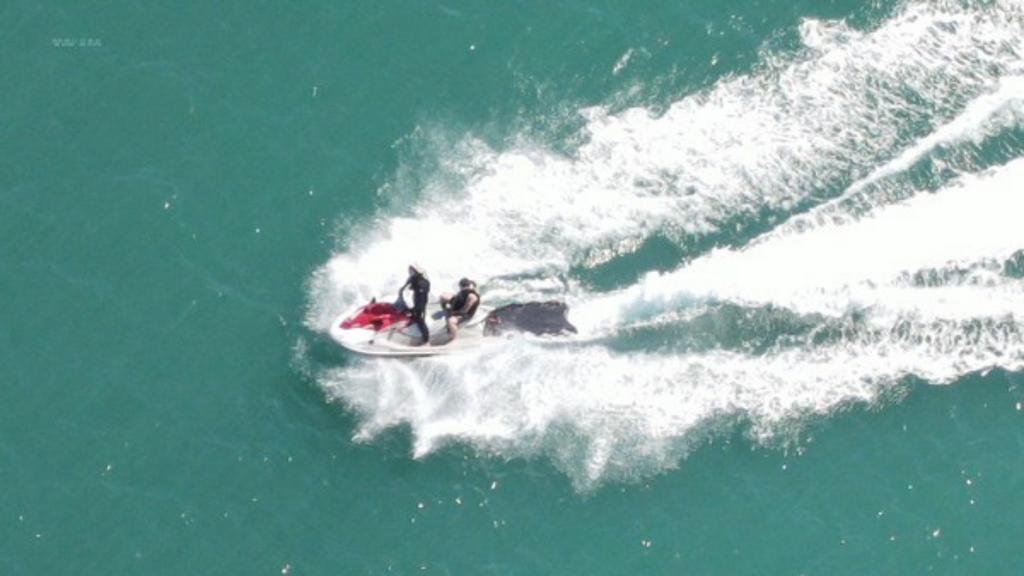 Foto: Divulgação/ Ibama - Piloto de moto aquática é multado por se aproximar de baleias com filhotes em Garopaba