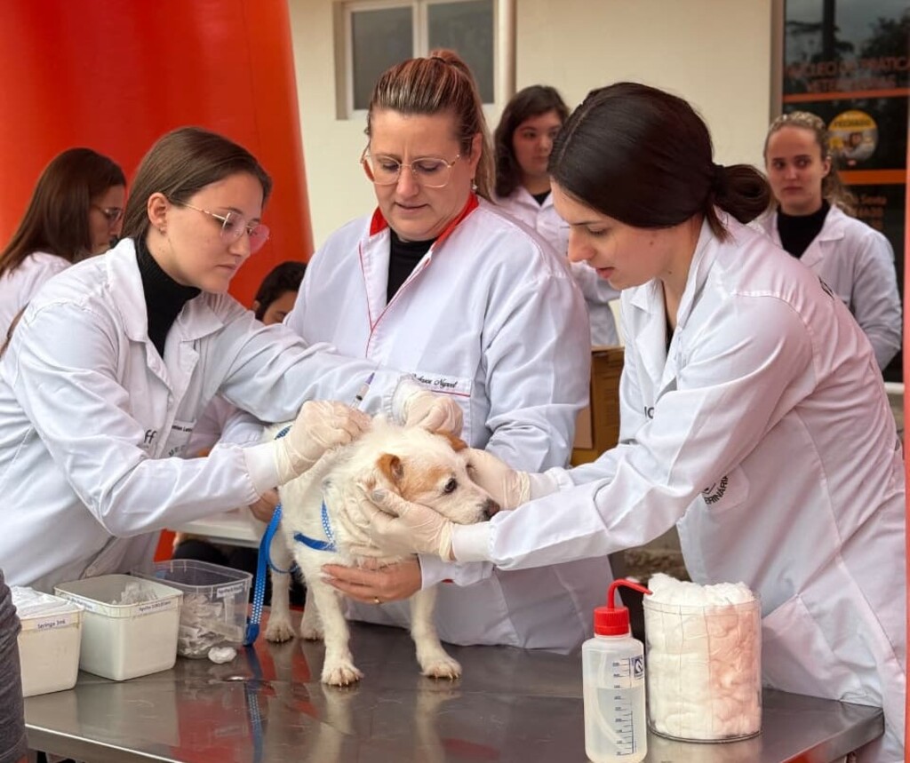 Curso de Medicina Veterinária da UCEFF Itapiranga promove campanhas de vacinação antirrábica