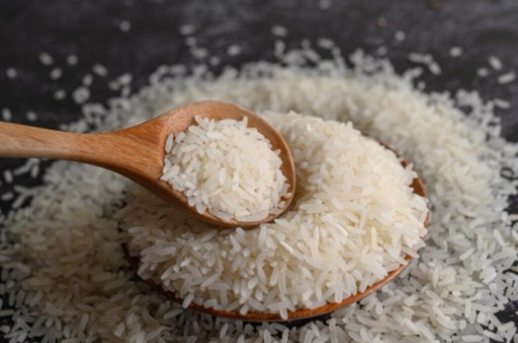Preço do arroz em queda preocupa produtores e indústrias em SC