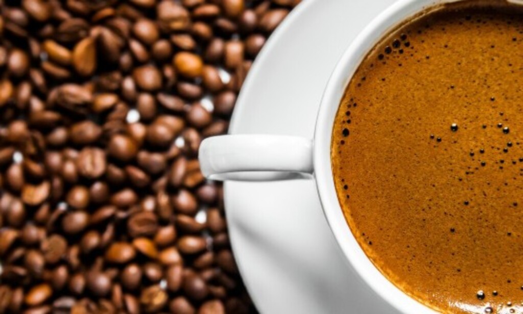 Exportação de café especial para os EUA despenca 79,5% após tarifaço de Trump