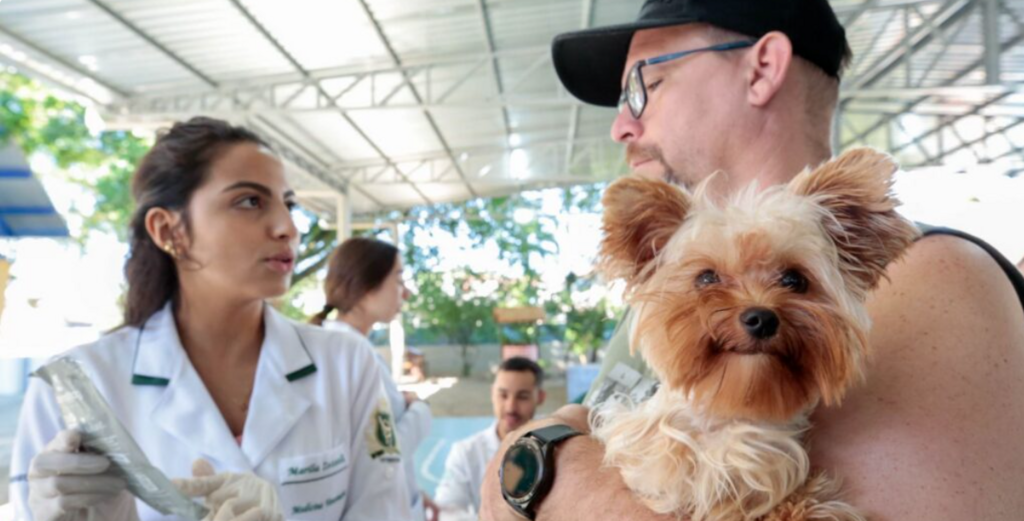 Mutirão oferece microchipagem gratuita e mais proteção para os pets