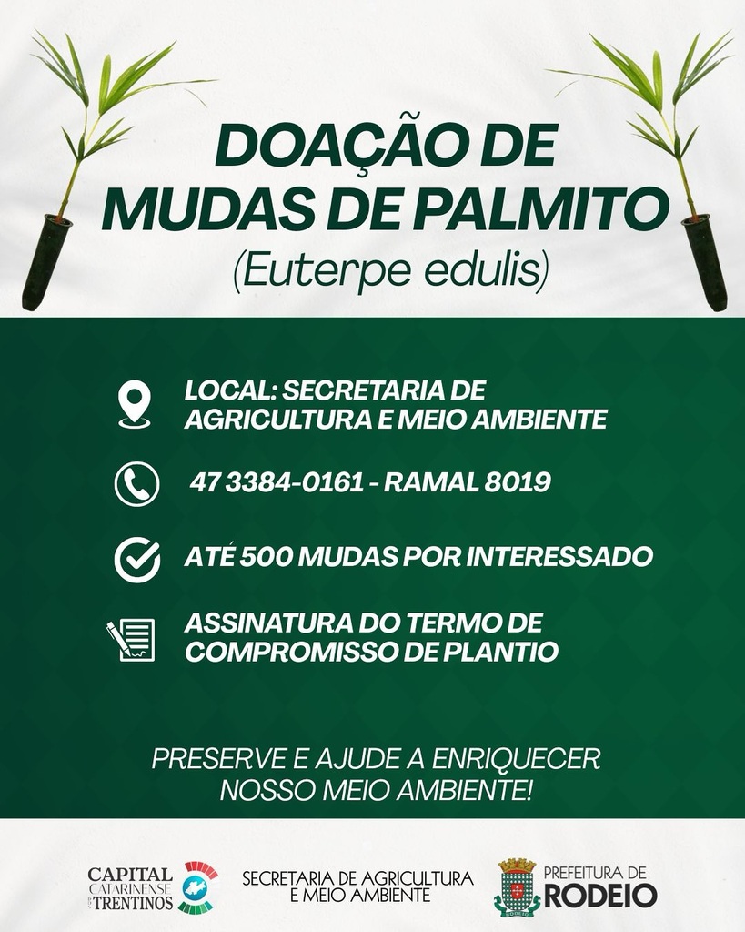 DOAÇÃO DE MUDAS DE PALMITO!