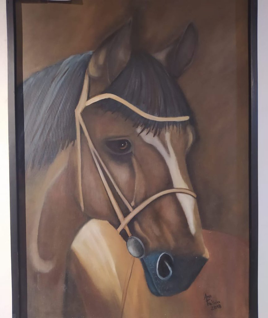 Exposição 