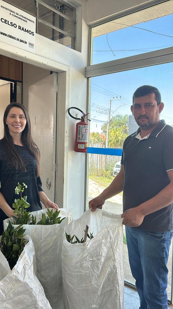 Realizada a entrega de mudas frutíferas em Celso Ramos
