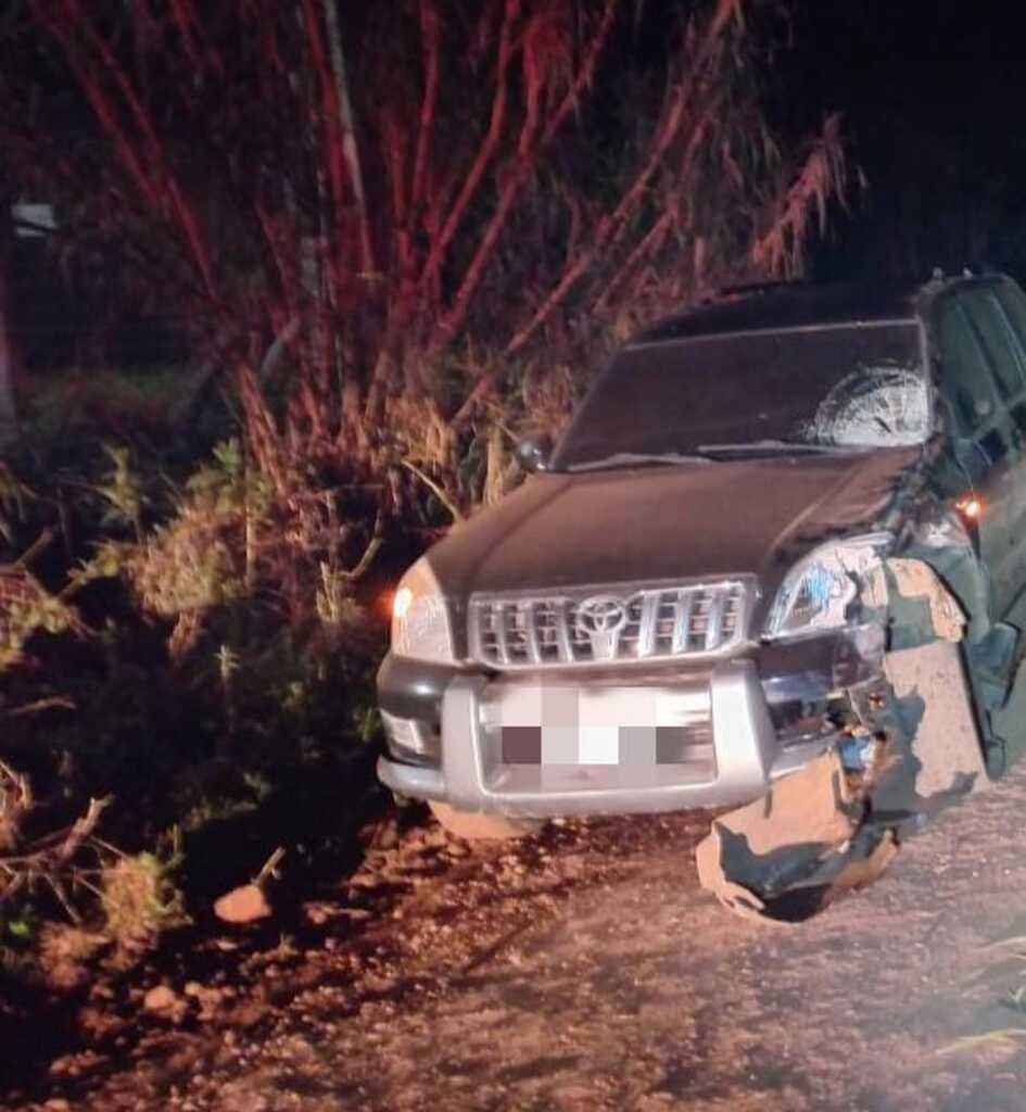  - IMAGEM DIVULGAÇÃO
