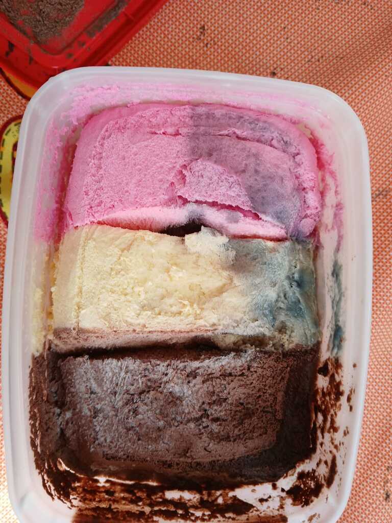  - IMAGEM DIVULGAÇÃO