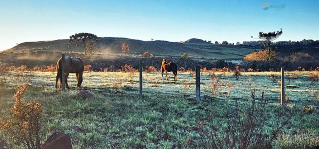 Serra registra temperaturas próximas de 0ºC no primeiro amanhecer de primavera