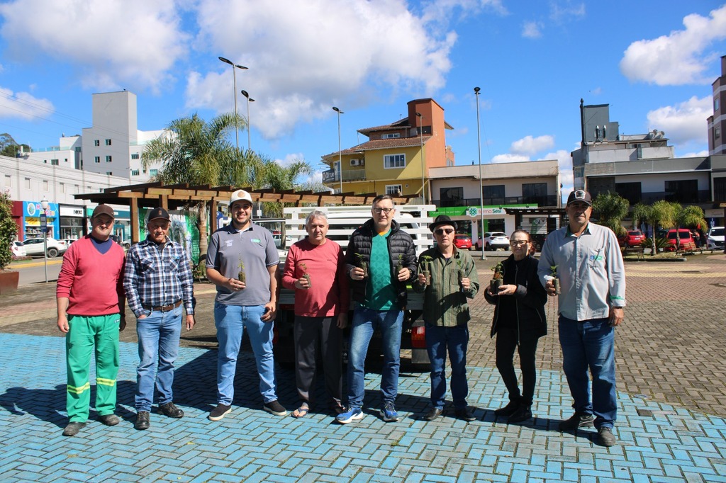 Prefeitura de Otacílio Costa promove distribuição de mudas de árvores nativas e frutíferas