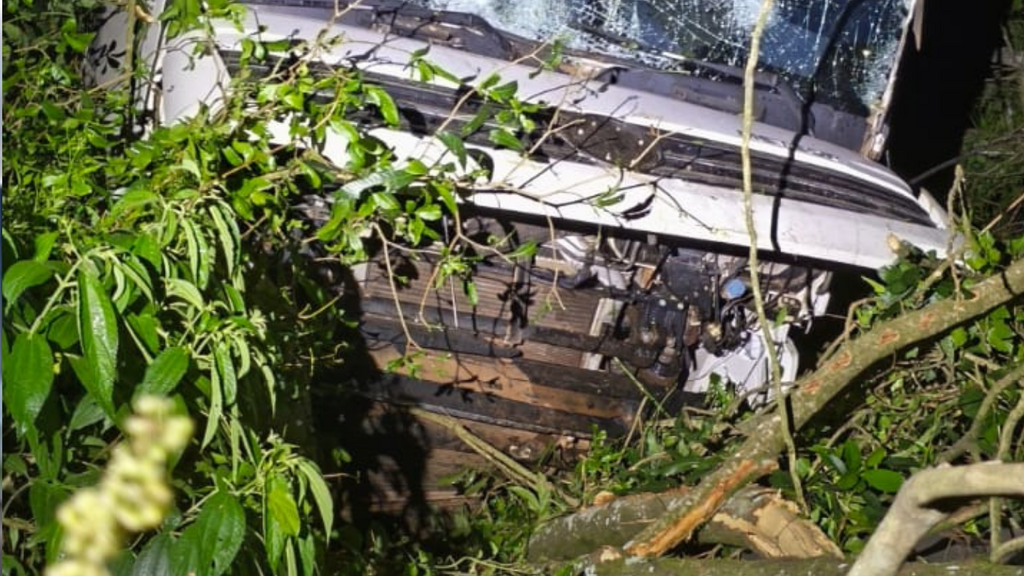 Caminhão sai da pista e desce ribanceira na BR-158 em Palmitos