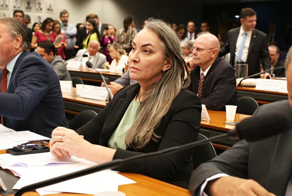 Deputada Daniela Reinehr cobra, de ministro da Fazenda, soluções para crédito no campo