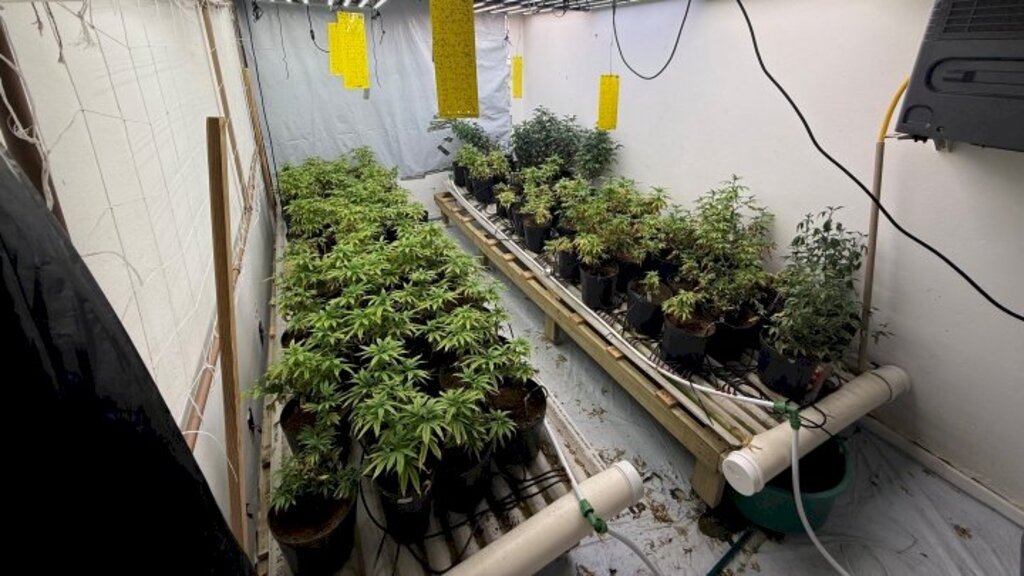  - IMAGEM DIVULGAÇÃO