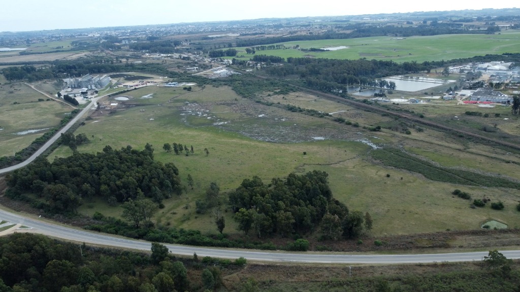 Bagé negocia instalação de esmagadora de soja no Distrito Industrial
