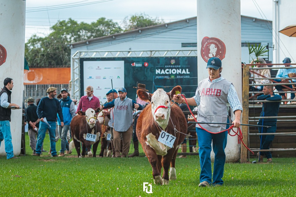 ABHB anuncia mudanças no regulamento das exposições